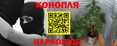 скорость Рузаевка