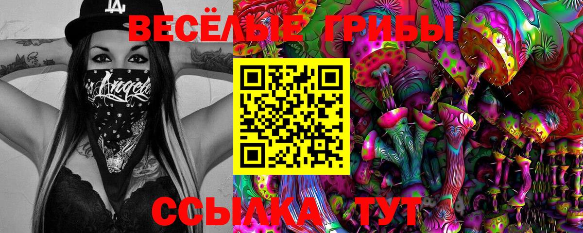 Псилоцибиновые грибы Psilocybe Асино