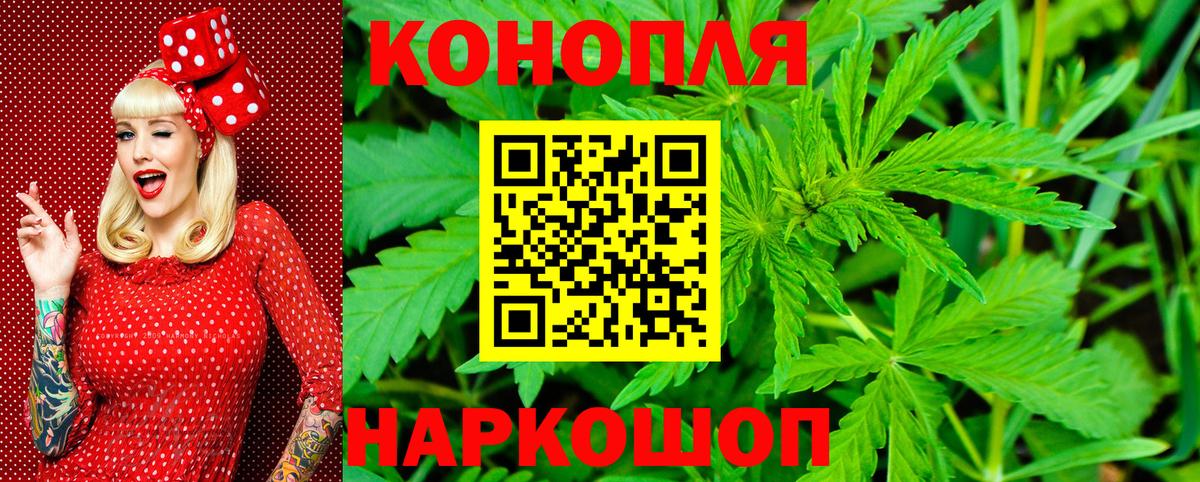 Каннабис индика  МАРИХУАНА LSD WEED  Каннабис марихуана  Асино  Вход с VPN  Марихуана ГИДРОПОН 